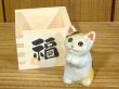 画像2: まる工房　陶猫　「福増猫（お願い）」寅面