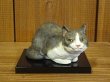 画像1: 小澤康麿　陶猫　『てびねり小猫』ハチワレ