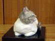 画像3: 小澤康麿　陶猫　『てびねり小猫』サバトラ