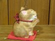 画像3: 小澤創磨　陶猫　『吉兆猫　アビ』
