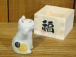 画像4: まる工房　陶猫　「福増猫（右手挙げ）犬面」