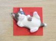 画像7: まる工房　陶猫　「ちょび猫」ハチワレ