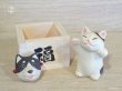 画像3: まる工房　陶猫　「福増猫（右手挙げ）」犬面