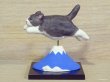 画像4: 小澤康麿　陶猫　「飛猫」ハチワレ