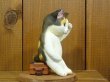 画像3: 小澤創磨　陶猫　『一休み』