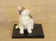 画像3: 小澤康麿　陶猫　『てびねり猫』ミケ