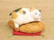 画像1: まる工房　陶猫　「たい焼き猫」ミケ