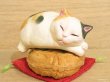 画像2: まる工房　陶猫　「たい焼き猫」ミケ