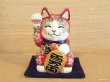 画像1: 河辺花衣　「招き猫貯金箱　4寸」赤