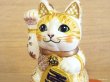 画像2: 河辺花衣　「招き猫貯金箱　4寸」白