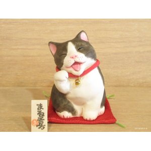 画像: まる工房　陶猫　「吉兆招き猫」ハチワレ