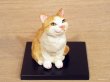 画像1: 小澤康麿　陶猫　『てびねり猫』茶白