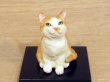 画像6: 小澤康麿　陶猫　『てびねり猫』茶白