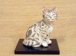 画像1: 小澤康麿　陶猫　『てびねり猫』アメショ