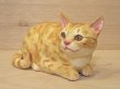 画像3: 小澤康麿　陶猫　『茶トラこねこ』