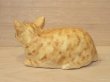 画像5: 小澤康麿　陶猫　『茶トラこねこ』