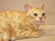 画像2: 小澤康麿　陶猫　『茶トラこねこ』