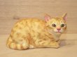 画像1: 小澤康麿　陶猫　『茶トラこねこ』
