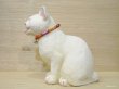 画像5: 小澤創磨　陶猫　『こねこ　白』