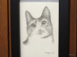画像2: 東マユミ　額装鉛筆画