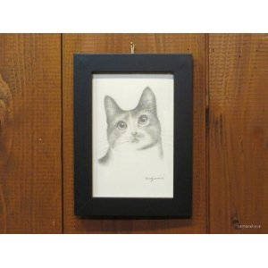 画像: 東マユミ　額装鉛筆画