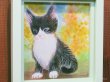 画像2: キムラトモミ　水彩画　『ミモザのあるお庭』
