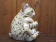 画像4: 小澤康麿　陶猫　『ビーチセイバー』