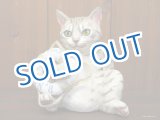 画像: 小澤康麿　陶猫　『ビーチセイバー』