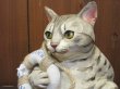 画像2: 小澤康麿　陶猫　『ビーチセイバー』
