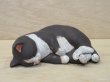 画像3: 小澤創磨　陶猫　『海でくつろぐ』