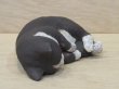 画像7: 小澤創磨　陶猫　『海でくつろぐ』