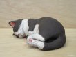 画像4: 小澤創磨　陶猫　『海でくつろぐ』